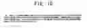 Fig. 11 - Apparatus for grading and evaluating compositional essays