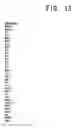 Fig. 14 - Apparatus for grading and evaluating compositional essays