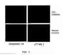 Fig. 02 - Compositions and methods for lipoprotein uptake assays