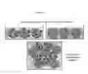 Fig. 02 - Automatable artificial immune system (AIS)