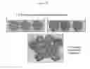 Fig. 03 - Automatable artificial immune system (AIS)