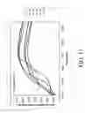 Fig. 13 - Probes and methods for hepatitis C virus typing using multidimensional probe analysis