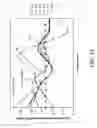 Fig. 16 - Probes and methods for hepatitis C virus typing using multidimensional probe analysis