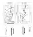 Fig. 17 - Probes and methods for hepatitis C virus typing using multidimensional probe analysis