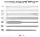 Fig. 04 - Methods and materials relating to novel polypeptides and polynucleotides