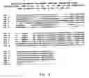 Fig. 05 - Methods and materials relating to novel polypeptides and polynucleotides