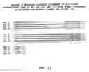 Fig. 12 - Methods and materials relating to novel polypeptides and polynucleotides