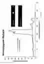 Fig. 22 - Waveguide system for detection of fluorescently labeled nucleic acid sequences