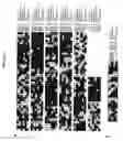 Fig. 02 - LuxO-sigma54 interactions and methods of use