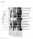 Fig. 07 - Altered gene expression profiles in stable versus acute childhood asthma