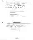 Fig. 06 - Method for amplifying target nucleic acid sequences using a primer comprising an AP endonuclease-cleavable linker