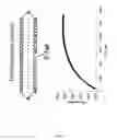 Fig. 11 - Method for amplifying target nucleic acid sequences using a primer comprising an AP endonuclease-cleavable linker