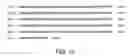 Fig. 04 - Modulators of tissue regeneration