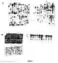 Fig. 09 - Thermostable reverse transcriptases and uses thereof