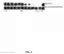 Fig. 10 - Thermostable reverse transcriptases and uses thereof