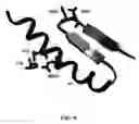Fig. 11 - Thermostable reverse transcriptases and uses thereof