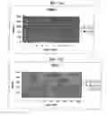 Fig. 12 - Thermostable reverse transcriptases and uses thereof