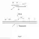 Fig. 18 - Apparatus, system, and method using immiscible-fluid-discrete-volumes