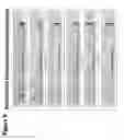 Fig. 10 - Method of producing short hairpin library