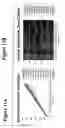 Fig. 12 - Method of producing short hairpin library