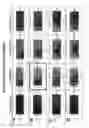 Fig. 13 - Method of producing short hairpin library
