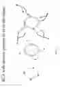 Fig. 15 - Method of producing short hairpin library