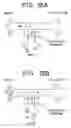 Fig. 11 - Methods and systems for molecular fingerprinting