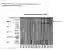 Fig. 29 - ME-5, ME-2, and EPP2: human protein antigens reactive with autoantibodies present in the serum of women suffering from endometriosis