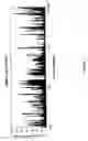 Fig. 03 - siRNA targeting cAMP-specific phosphodiesterase 4D