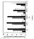 Fig. 06 - siRNA targeting cAMP-specific phosphodiesterase 4D