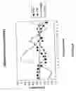 Fig. 09 - siRNA targeting cAMP-specific phosphodiesterase 4D