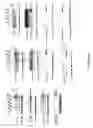 Fig. 16 - siRNA targeting cAMP-specific phosphodiesterase 4D