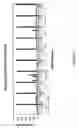 Fig. 17 - siRNA targeting cAMP-specific phosphodiesterase 4D