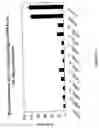 Fig. 19 - siRNA targeting cAMP-specific phosphodiesterase 4D