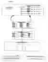 Fig. 02 - Genetic process for multiplex terminal restriction fragment length polymorphism analysis