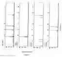 Fig. 03 - Genetic process for multiplex terminal restriction fragment length polymorphism analysis
