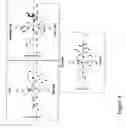 Fig. 05 - Genetic process for multiplex terminal restriction fragment length polymorphism analysis