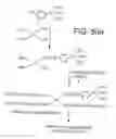 Fig. 04 - Method for attachment of silylated molecules to glass surfaces