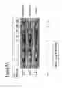 Fig. 09 - Method of screening for sensitivity to kinase inhibitor therapy