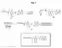 Fig. 03 - Activity-based probes and methods of their preparation and use