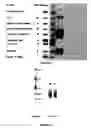 Fig. 06 - Immunoassay for venom detection including noninvasive sample collection