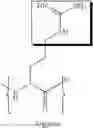 Fig. 07 - IDENTIFICATION OF NON-COVALENT COMPLEXES BY MASS SPECTROMETRY