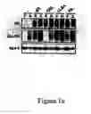 Fig. 06 - Novel translocation assay