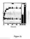 Fig. 10 - Novel translocation assay