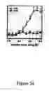 Fig. 12 - Novel translocation assay