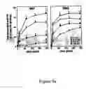Fig. 30 - Novel translocation assay