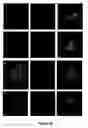 Fig. 11 - Marker for fenestrae