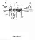 Fig. 02 - Isolated nucleic acids for mutant mammalian Nav 1 proteins