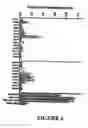 Fig. 05 - Isolated nucleic acids for mutant mammalian Nav 1 proteins