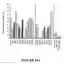 Fig. 11 - Isolated nucleic acids for mutant mammalian Nav 1 proteins